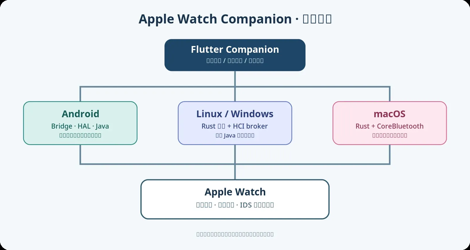 Apple Watch Companion 的简化架构图